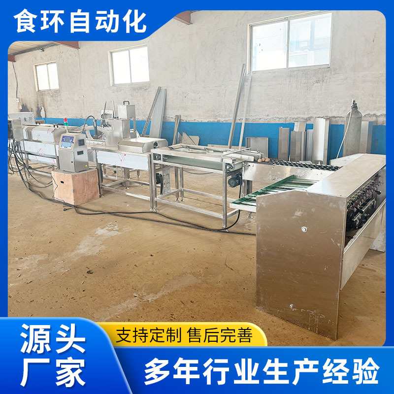 全自动单排洗蛋机 鸡鸭蛋全自动大型清洗风干设备 粪蛋清洗分级机