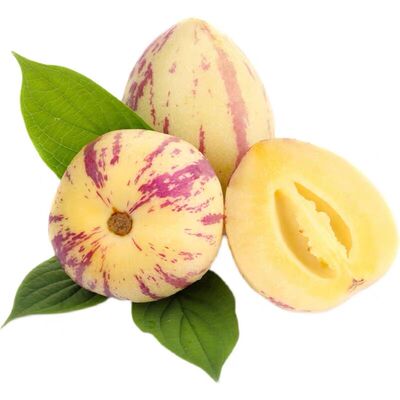 壮实大棵人参果树苗长寿果苗带果