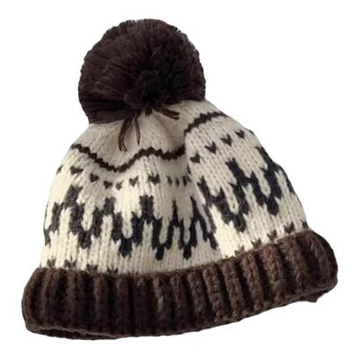 韩版ins新款复古提花针织帽子女冬季加厚保暖防风护耳滑雪毛线帽