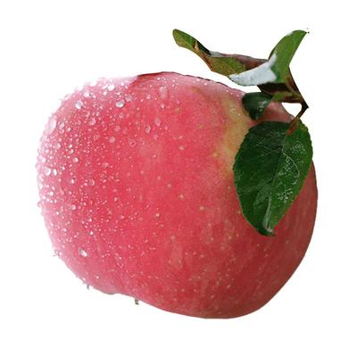 新鲜甘肃静宁红富士苹果10斤生鲜