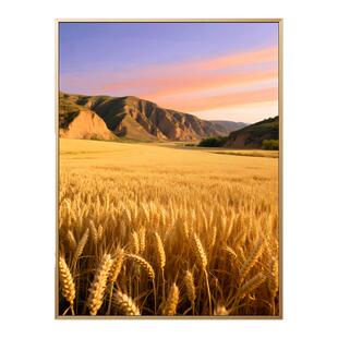 金色麦田丰收入户玄关装饰画黄土高原风景画办公室壁画沙发墙挂画
