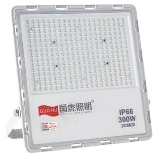 国虎照明室外灯防水led庭院灯超亮强光投光灯节能低耗投射灯墙灯