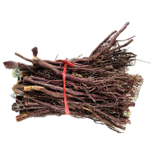 宜兰山红豆杉树根富含紫杉醇野生红豆杉根炖排骨宜兰山红豆杉根片