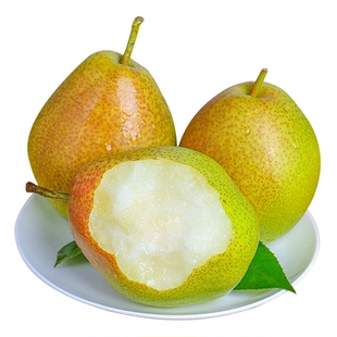 正宗山西红香酥梨头茬当季现摘香梨青梨子脆甜新鲜水果整箱包邮