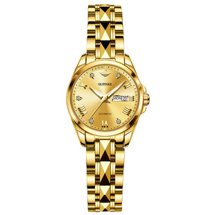 进口机芯瑞士正品牌18k金色手表女士机械表全自动防水女名表十大