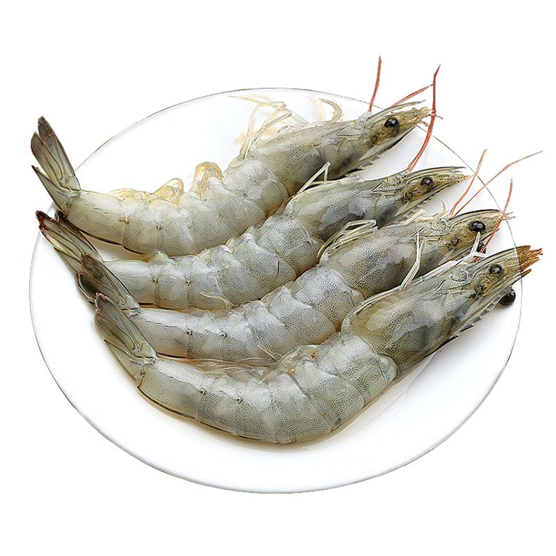 小编推荐厄瓜多尔大虾顺丰冷链
