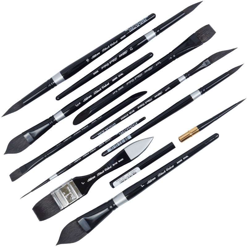 美国黑天鹅blackvelvet丝绒松鼠