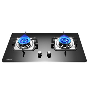 迅达燃气灶双灶家用台式嵌入式大面板煤气灶液化气灶天然气Q3HA