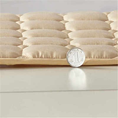 床垫软垫家用卧室铺床被1米5床褥子学生宿舍单人薄款榻榻米可机洗