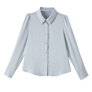 晚白2026年春新款翻领面试公考衬衣正式场合缎面垂顺通勤蓝衬衫女