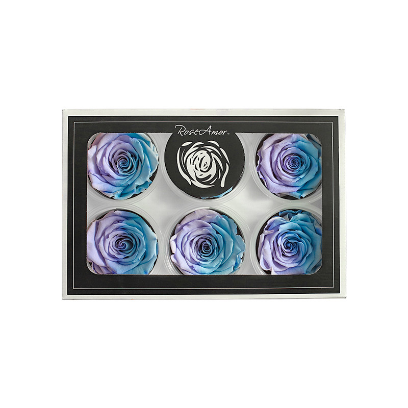diyroseamor进口全色6朵永生花