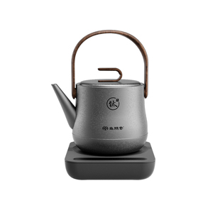 尚朋堂T1纯钛烧水壶2026新款家用电热水壶自动上水茶壶泡茶台专用