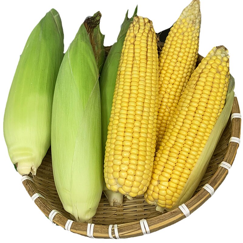 糯玉米玉米即食新鲜带皮发货