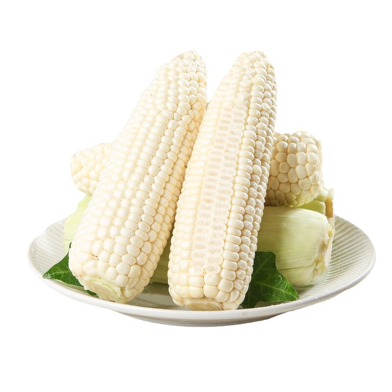 玉米棒子牛奶玉米现摘即食爆浆