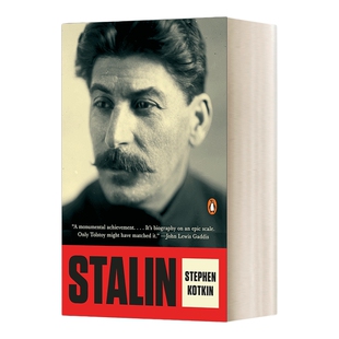 英文原版 Stalin Paradoxes of Power 1878-1928 斯大林 权力的悖论 1878-1928 英文版 进口英语原版书籍