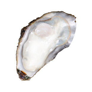 乳山生蚝鲜活特大牡蛎带壳海蛎子新鲜山东海鲜水产整箱10斤顺丰
