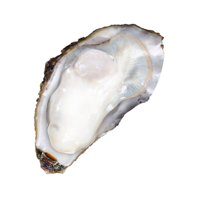 顺丰乳山生蚝特大牡蛎带壳