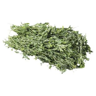 荷兰猪豚鼠粮草兔子食用草紫花苜蓿草全叶兔粮饲料干牧草专用苜宿