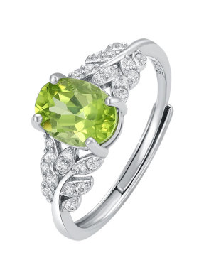 贵重珠宝女纯银气质调节戒指