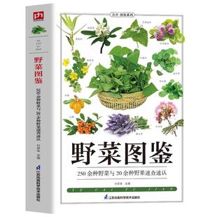 野菜图鉴 250种野菜与20余种野果速查速认 野菜大全书 野外认采中草药野菜图鉴 野生植物花草识别图解饮食宜忌科普书 食用野菜书籍