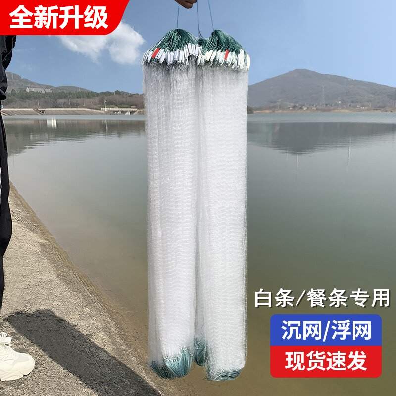 单层渔网白条餐条专用捞三层小鱼网黏网丝网沉网浮网捕鱼挂网大全
