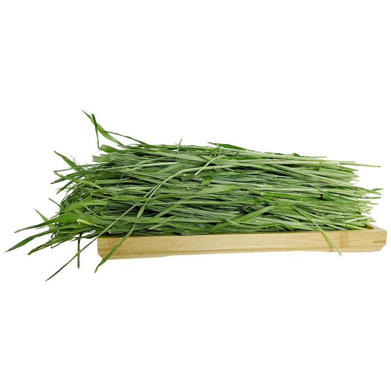 小麦草干草牧草兔子龙猫荷兰猪
