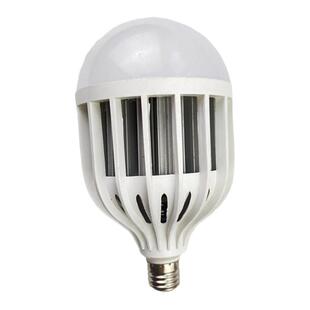 led大功率工厂照明灯泡E27螺口220V80W100WE40大螺口led鸟笼灯泡