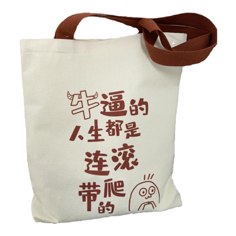 原创拉链款青年ins简约单肩包棉学生书韩版休闲文艺大容量帆布包