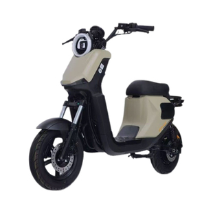 新新国标深远GT1-GB10寸成人家用代步智能电动车