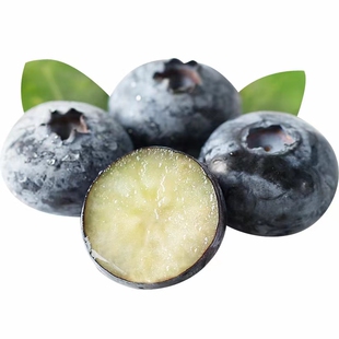 四川凉山新鲜花香蓝莓孕妇儿童辅食现摘现发冷链当季水果特大蓝莓