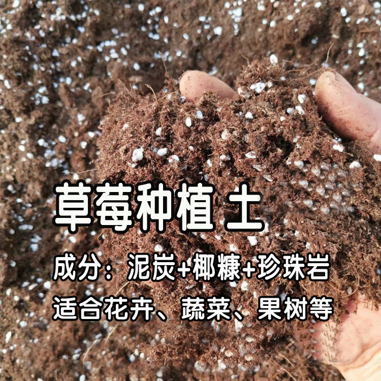 草莓种植土多肉蔬菜月季花卉土椰糠泥炭珍珠岩蛭石种花土营养土