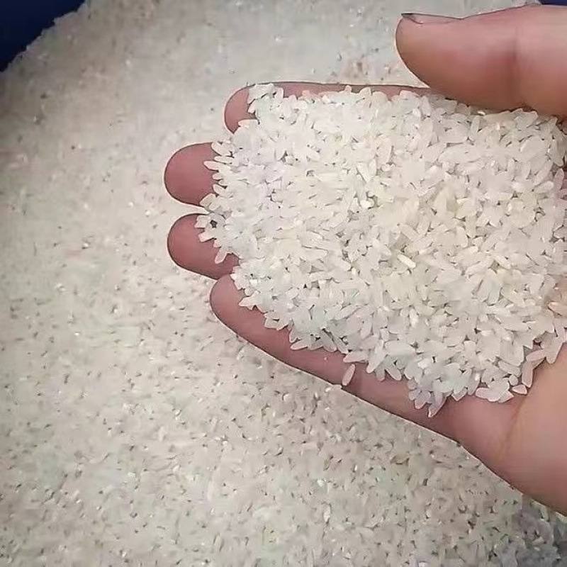 新型碾米机打米机家用多功能剥谷机磨粉稻谷脱壳机磨浆粉碎一体机