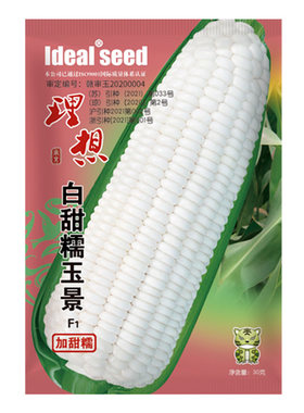 超甜水果玉米玉米IDEAL