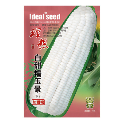 超甜水果玉米玉米IDEAL