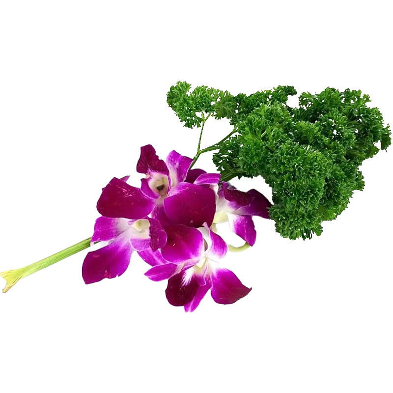新鲜杨兰花荷兰芹火锅烤肉摆盘