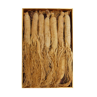 250克长白山人参白参生晒参干人参吉林特产东北大人参礼盒泡酒