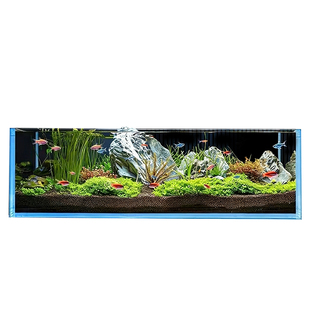 超白玻璃鱼缸小型2026新款客厅溪流缸生态缸金晶五线水族箱长方形