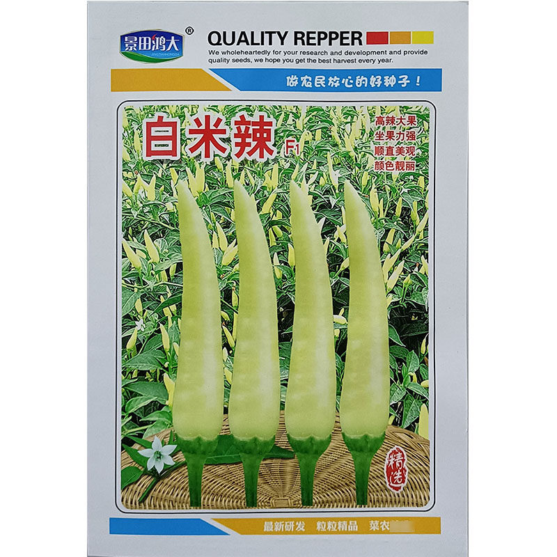 白米一号白色小米椒朝天椒种子籽