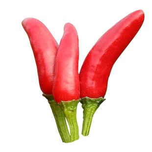 大果单生朝天椒种子苗高产秧苗春天菜苗辣椒四季菜蔬菜种籽孑籽种