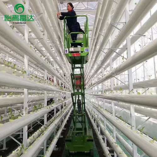 全自动轨道采摘车 蔬菜大棚温室瓜果采摘升降机 小型移动升降机