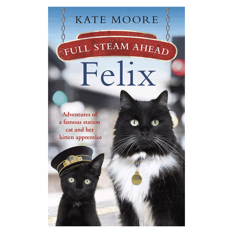 full steam ahead felix 全速前进的菲利克斯 英文原版进口书 纯全英文版正版原著进口原版英语书籍
