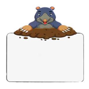 打地鼠识字游戏空白卡片单词启蒙课堂互动早教玩具英语教具幼儿园