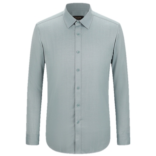 【商场同款】雅戈尔官方夏季新款商务男士浅绿素色DP长袖衬衫YLDP