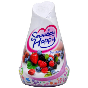 日本进口小林制药固体芳香剂室内除臭香薰空气清新车内衣橱消臭元