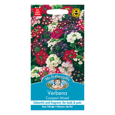 虹越美女樱琉璃繁缕春秋花卉种子