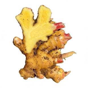 正宗云南新鲜小黄姜生姜老姜农家现挖沙姜月子姜当地蔬菜带泥发货