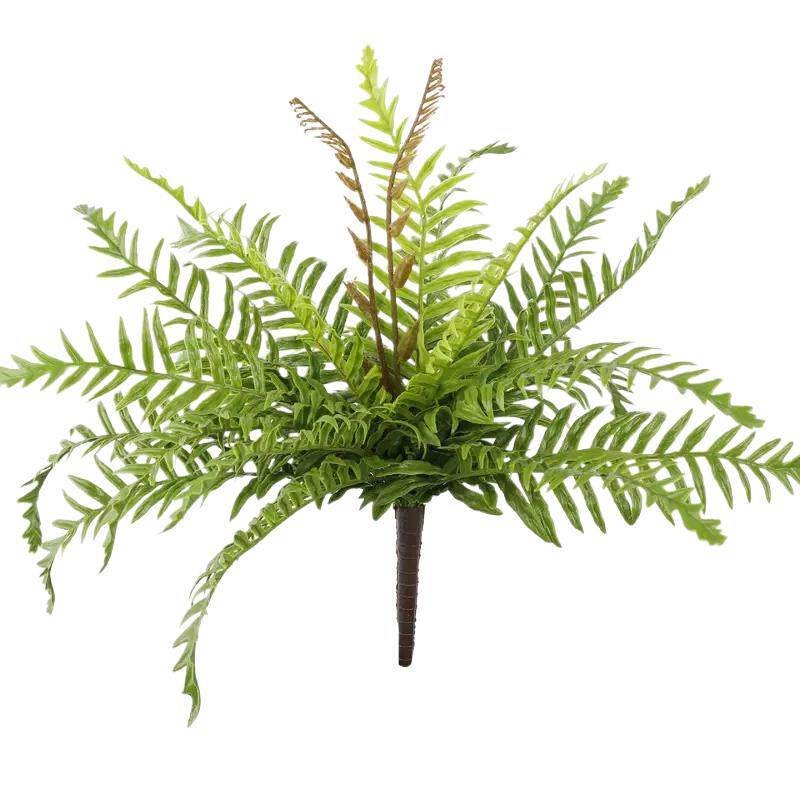 仿真蕨类植物小绿植室内造景