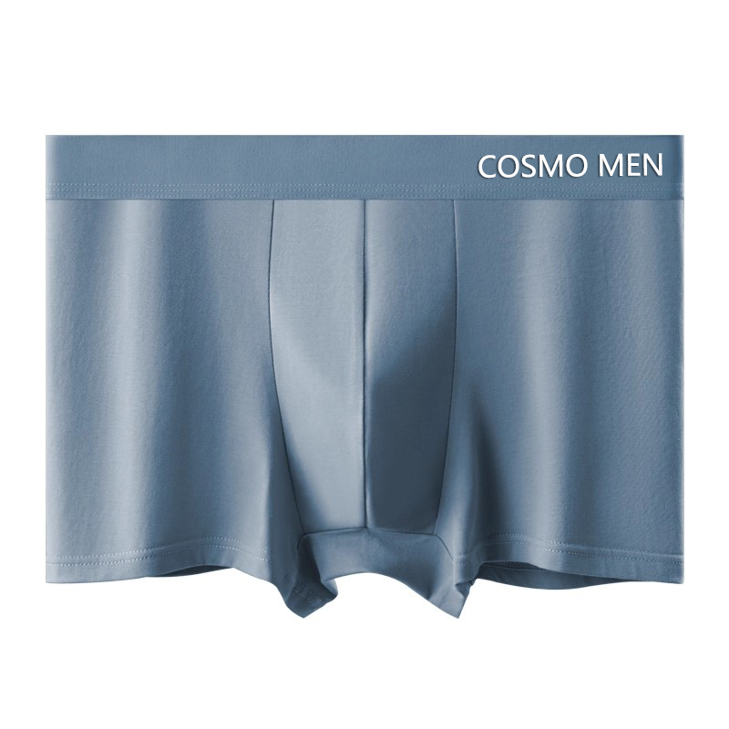 都市丽人男士内裤纯棉全棉抗菌裆2025新款男生透气大码四角短裤头
