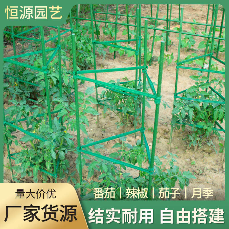 西红柿支架番茄架子阳台种植架豆角黄瓜爬藤架花卉绿植支撑架植物