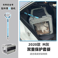 [Grey M] с [ремнем безопасности ПЭТ] Двойной фиксированной защиты